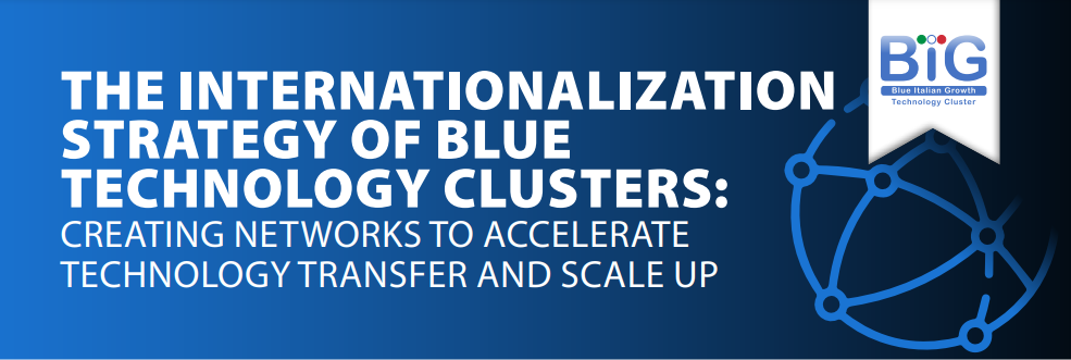 THE INTERNATIONALIZATION STRATEGY OF BLUE TECHNOLOGY CLUSTERS: CREATING NETWORKS TO ACCELERATE TECHNOLOGY TRANSFER AND SCALE UP