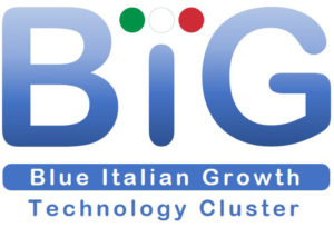 Il Cluster BIG ricerca un/una Project Manager